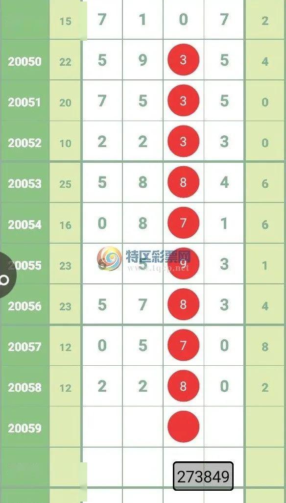 白小姐三肖三码期期准免，实时解答解释与落实