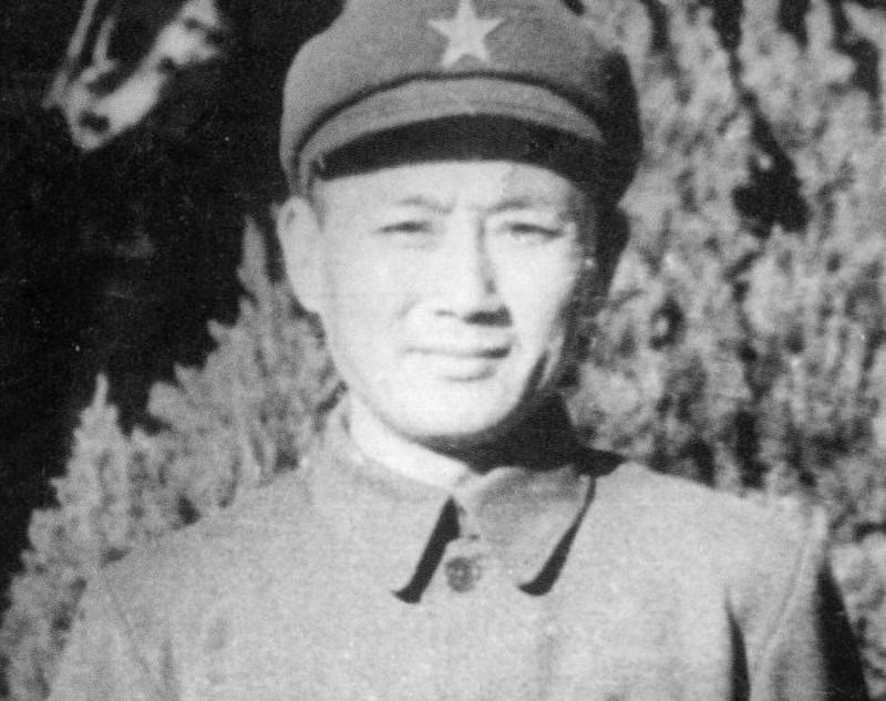 一码一肖，精准统计解答，深入解释与落实