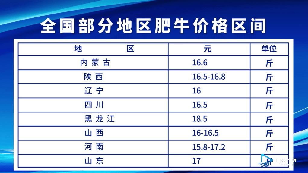 澳门一码一肖一特一中，公开性与参考价值探讨