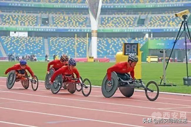 新澳门2025年正版免费公开，前沿解答解释与落实策略