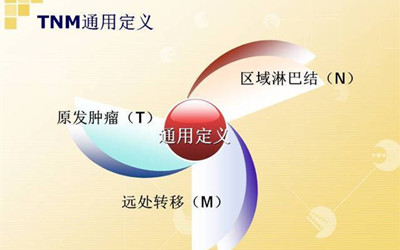 新澳2025最新资料大全与决策资料的解释定义，AR94.463的全面解读