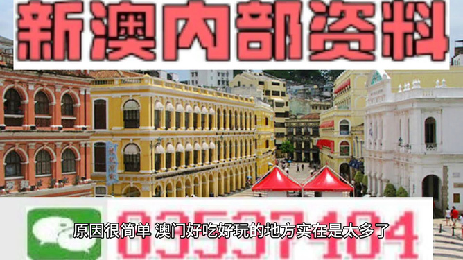 新澳门内部精准公开，精选解析、落实与策略探讨