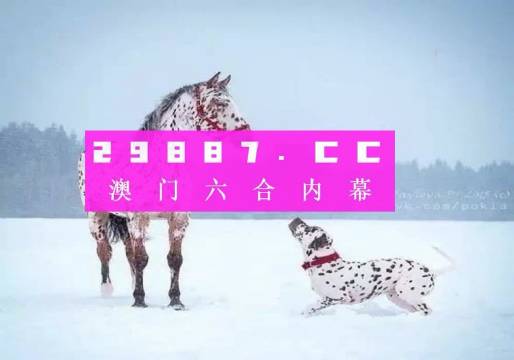 澳门一肖一码100%，精选解析、落实与策略