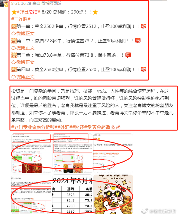 精选解析，关于今晚三肖预测的策略与落实