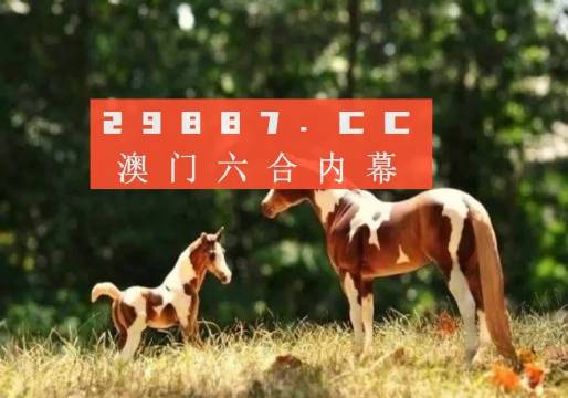 澳门今晚开特马四不像图，精选解析、落实与策略