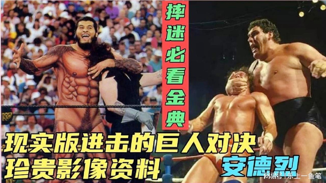 澳彩资料免费的资料大全WWE，精选解析、落实与策略