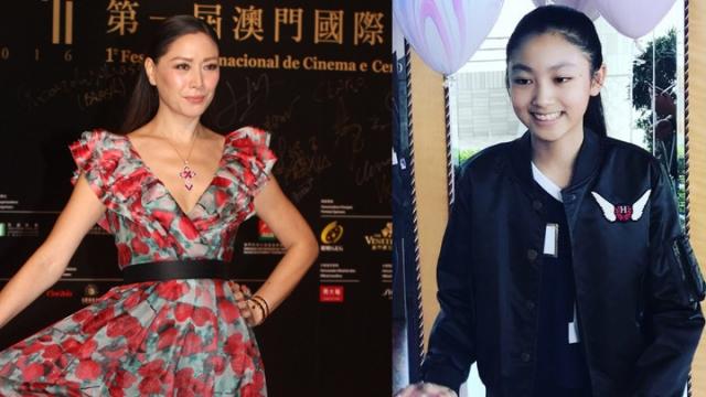 解析与策略，关于新澳门正版免费挂牌灯牌的落实之路
