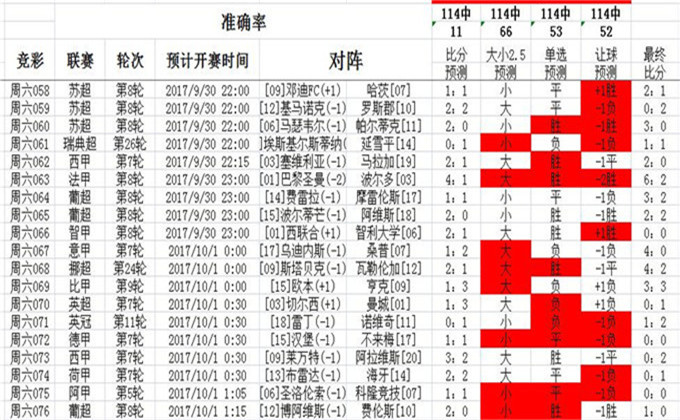 王中王493333中特马，解析、落实与策略精选