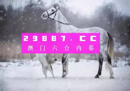 今晚与澳门一肖一码一待一中，精选解析、落实与策略