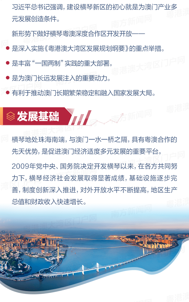 澳门特马今晚开什么码，解析、落实与策略精选