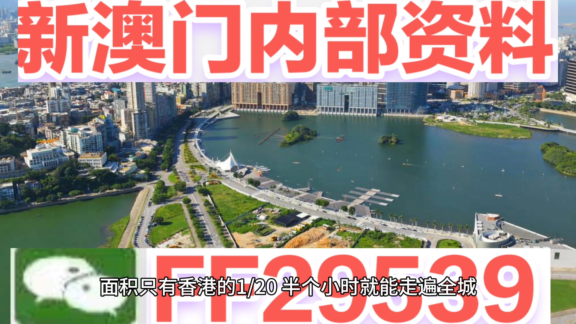 2025新澳门开奖查询，精选解析、落实与策略